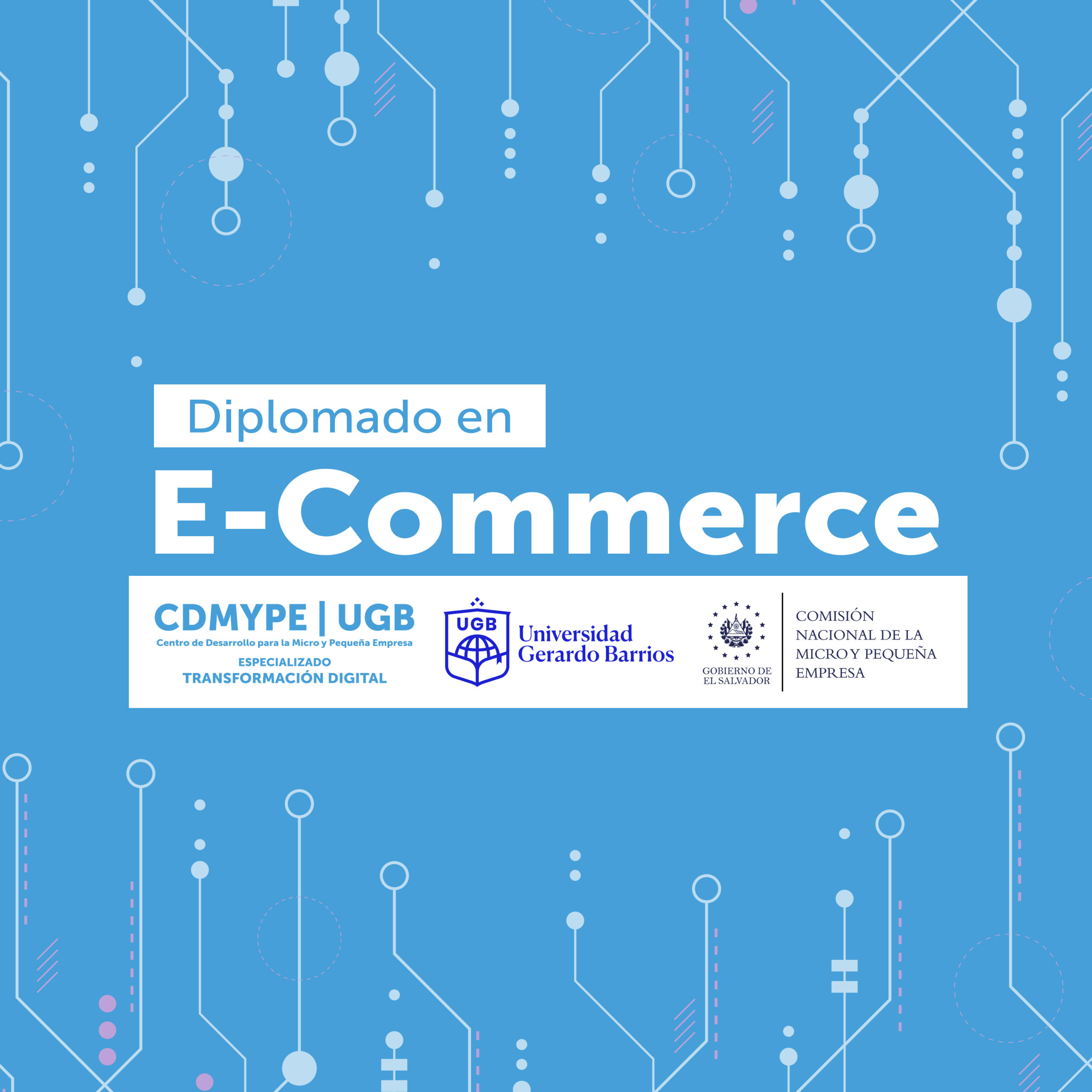 Diplomado E-Commerce